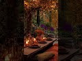 Thanksgiving Garden Party Ambience 🍂 Fireplace and Soft Music