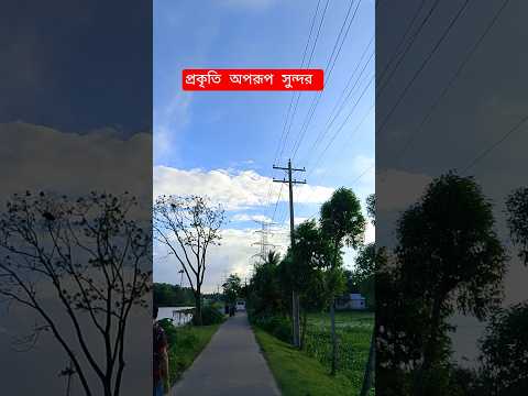 #jaidmeel