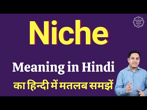 Niche meaning in Hindi | Niche का हिंदी में अर्थ | explained Niche in Hindi