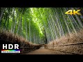 【4K HDR】Walk in Kyoto Arashiyama Bamboo & Kimono Forests(嵐山散歩) - Summer 2020