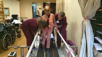 Heide Walks with Parallel Bars