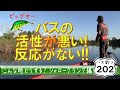 【ヒロ内藤流バス釣り】バスが釣れない時、どうする？シャロークランクで釣りたいあなたへ贈るバス釣りの基本知識【バス釣り202中級者講座】
