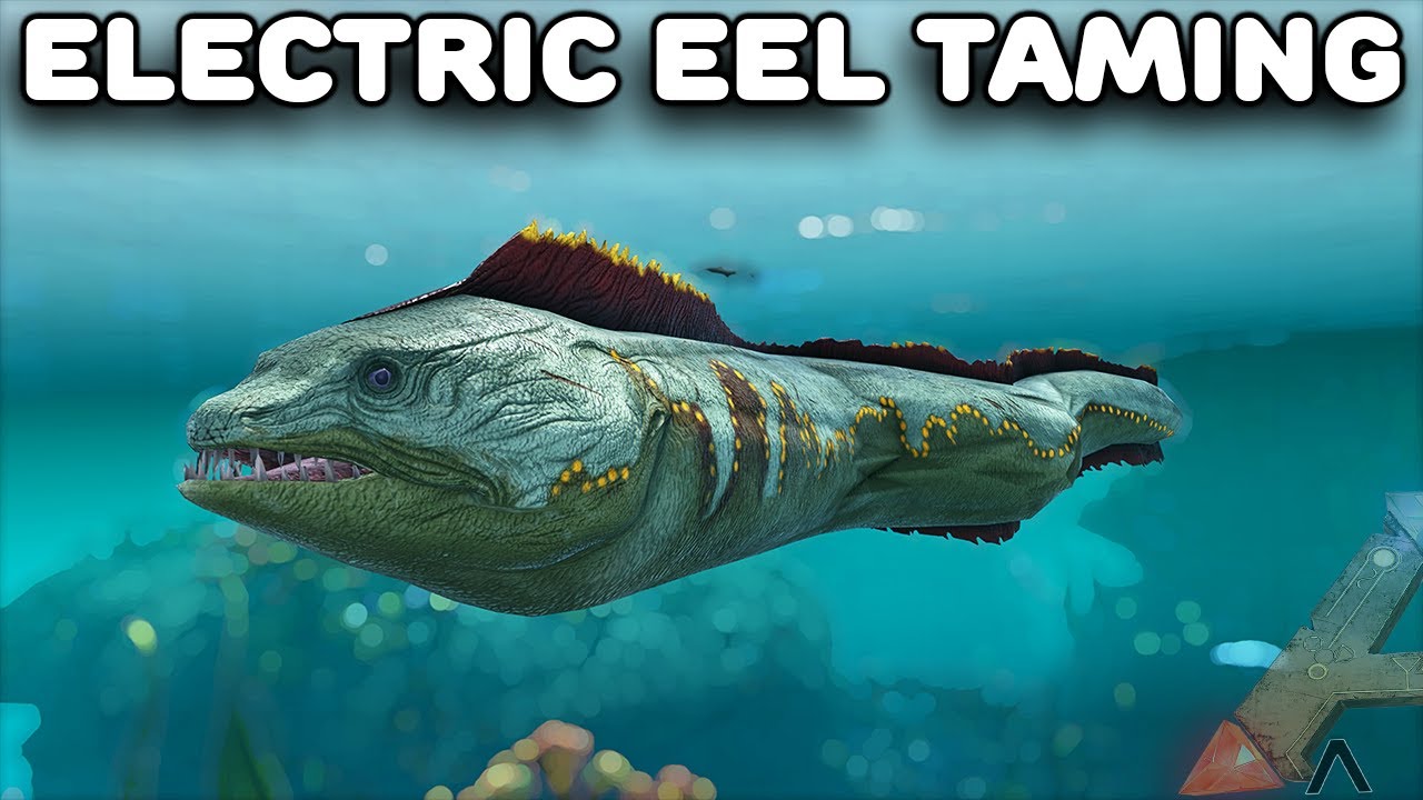 THE ELECTRIC EEL TAMING EVERY CREATURE ARK SURVIVAL EVOLVED EP35