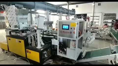 Satrise automatic mushroom bagging production line