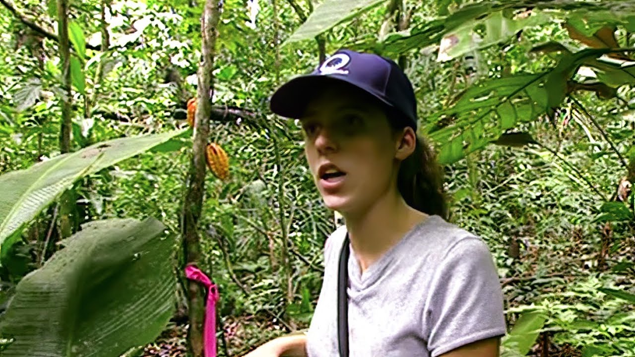 Panama : trésor vert sur l'île de Barro Colorado