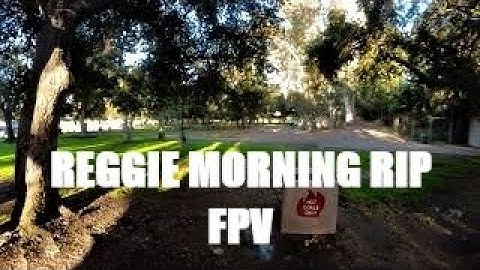 / //REGGIE MORNING RIP FPV/ //NanoHawk X  Caddx Peanut/ insta360 go2