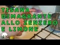 TISANA ZENZERO E LIMONE attiva il metabolismo e fa dimagrire e ti protegge nelle mezze stagioni