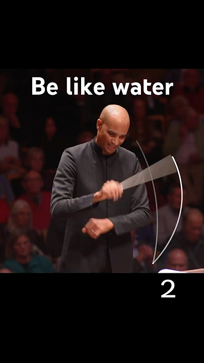 Float like a butterfly, sting like a bee #conductor #classicalmusic #orchestra #symphony #music