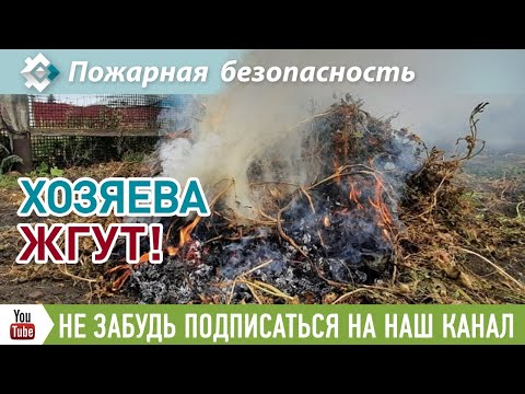За сжигание мусора грозит штраф