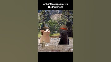 Arthur Meowrgan & the Pinkertons #rdr2 #arthurmorgan #cat #catmemes #truedialogue #fypシ #memes