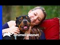 Potential Adopter Finally Reunited With Rescue Dog | Pit Bulls & Parolees