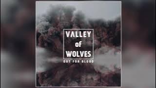 Valley of Wolves - Chosen One