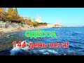 Одесса лето в октябре. Море. Пляжи. Отдых выходного дня. 10 фонтана. Оползень. Катакомбы. #зоотроп