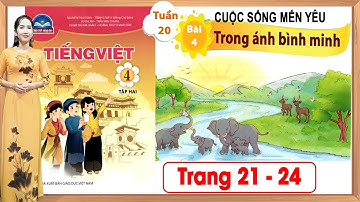 Tiếng việt lớp 4 chân trời sáng tạo bài 4 tuần 20 | Trong ánh bình minh