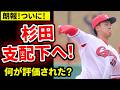 【広島】朗報!杉田が支配下契約へ!期待の理由を徹底解説【広島東洋カープ】