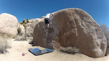 Joshua Tree - Turnbuckle