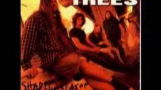 Video voorbeeld van "Screaming Trees - Dollar Bill"