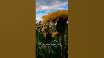 القارئ الشيخ يوسف المرهون🌻🌻