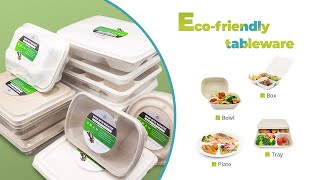 6 Inch #Burger #Box #Fiber #Plant #Box #Compostable #Biodegradable #Box