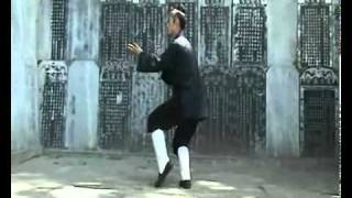 WUDANG Tai Chi 13 Form Sanfeng .