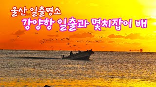울산 일출 명소 강양항 일출과 멸치잡이 배 #강양항 #명선도 #울산가볼만한곳