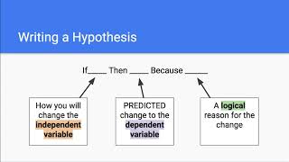 Forming a Hypothesis
