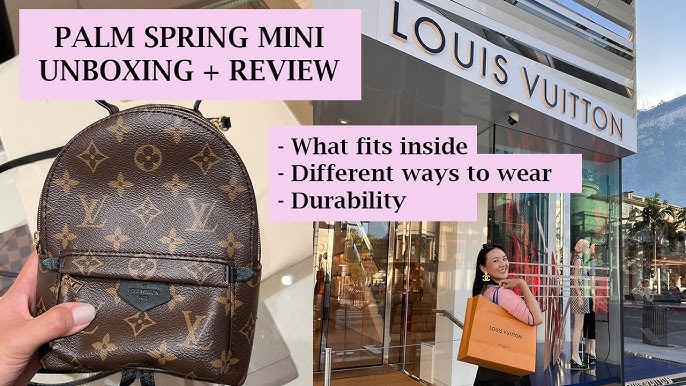 Real or Fake? Louis Vuitton Palm Springs Backpack – My Closet Rocks