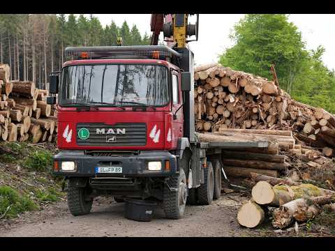 🌲4K| Mounty 4000 - MAN F2000 6x6 • Konrad Gebirgsharvester • CabView • Steilhang • LoggingVideo🌲