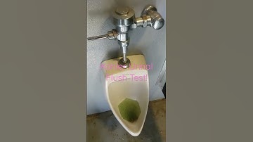 Kohler Urinal Flush Test!