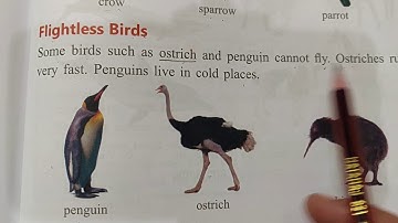 Class 1,Term 3 Subject EVS, Chapter 2, Lecture  1