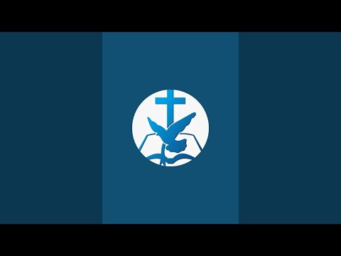 Previzualizare video