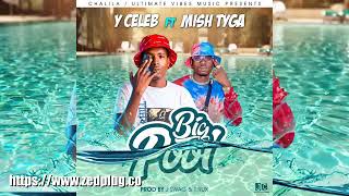 y celeb ft Mish Tyga big pool 2021 (official music audio)