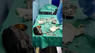 #shorts Orthopedic Surgery कैसे होती है | Operation Theatre #viral #status #ot #mbbs #trending #neet