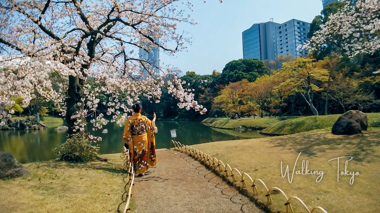 🇯🇵🌸Walking Tokyo | Koishikawa Korakuen Gardens
