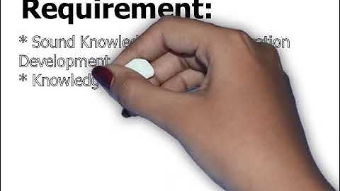 PHP Developer Job in Palakkad