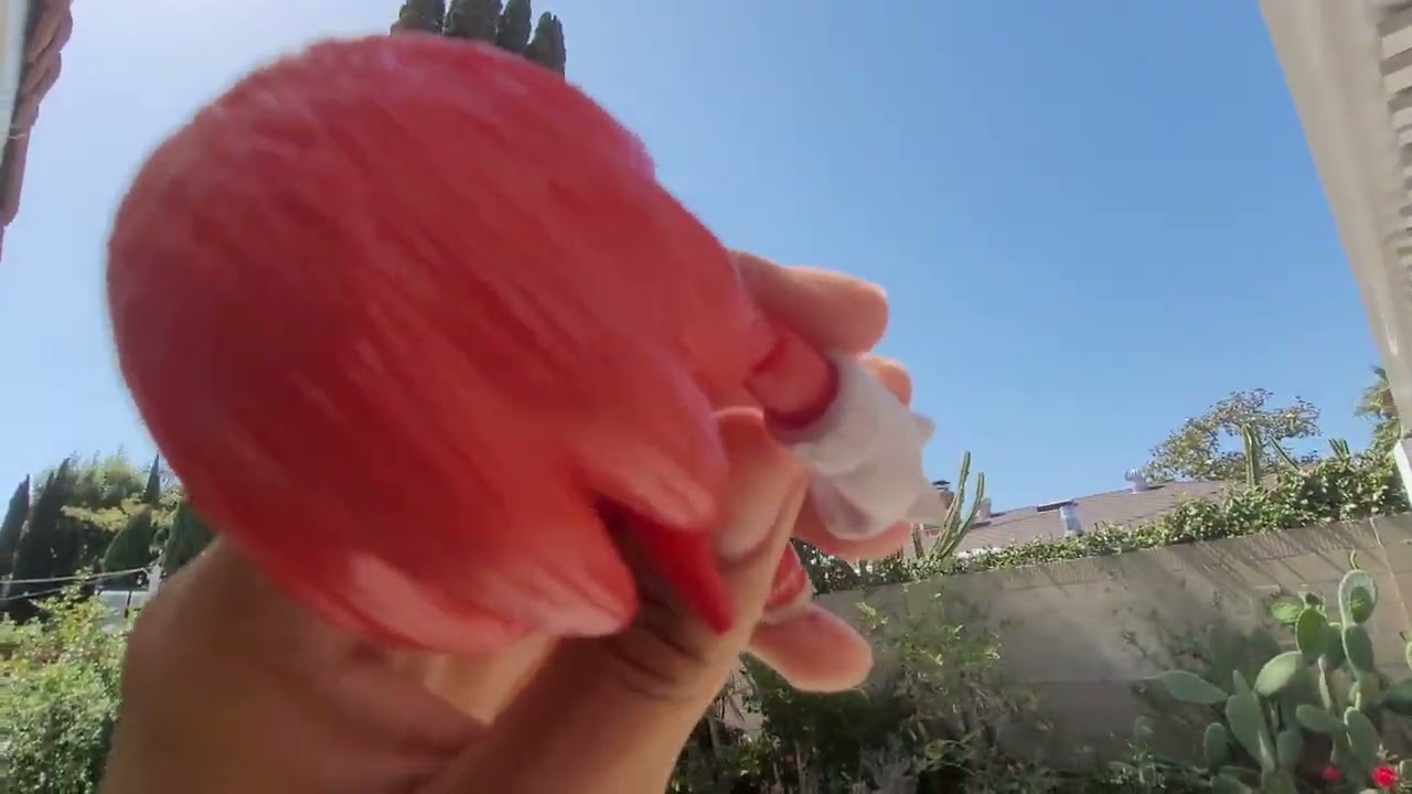 Sonic and Knuckles play Truth or Dare