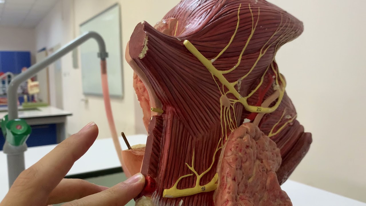 Dilin Kasları ve Çevresindeki Yapılar