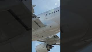 The REAL Reason Airplane Bellies Are White! 🤯