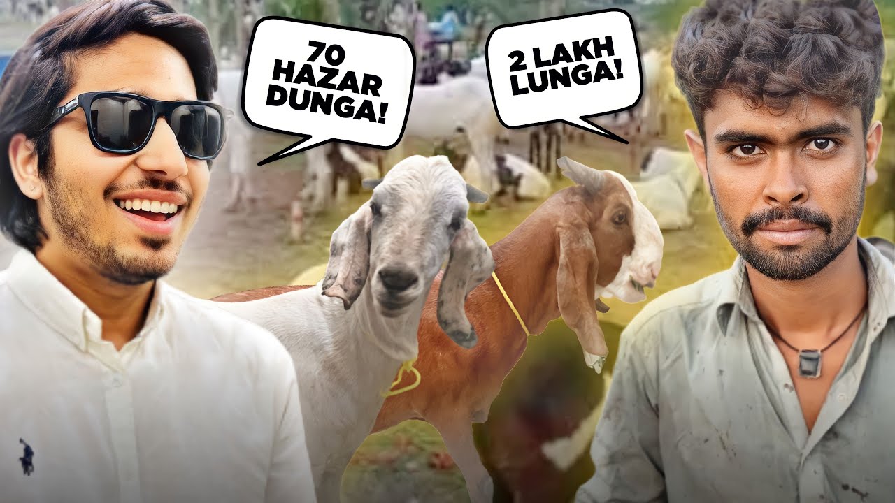 Qurbani Ke Liye Bakra 🐐 Le Liya 😍