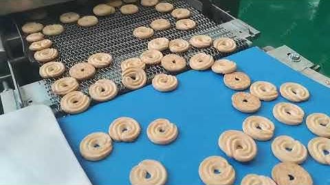 2022 Continuous Belt Biscuit Oven|How to Bake Cookies| Biscuit Machine Factory
