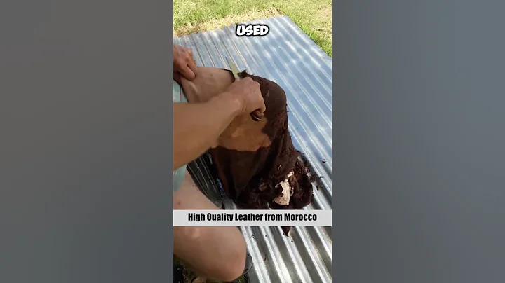 Why Is Genuine Leather So Expensive? #shorts #facts