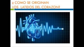 Y vasos los sanguíneos ejercitar corazón el