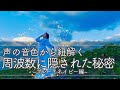【有料セミナー切り抜き】気づかずに拗れる人間関係の原因を声の周波数から辿ると、ブルー、ネイビーの周波数にあった。その周波数の秘密を公開！