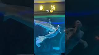 Restaurant mermaid bite #shorts #funny #subscribe