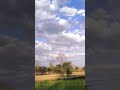 Delli se Manali #sortvideo #comedy #created #videos