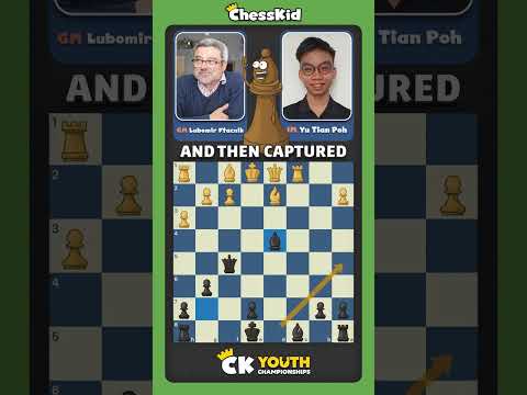 Yusheng Xia Chess