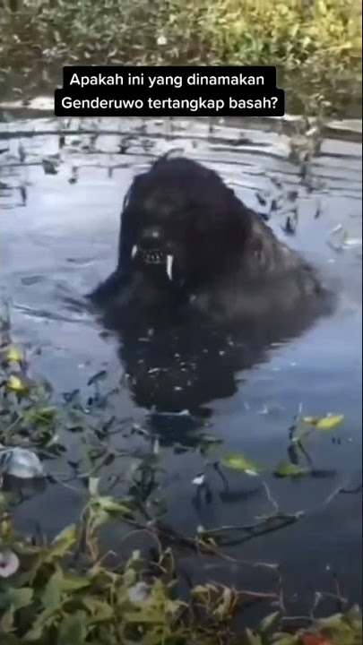 Ngeri ‼️ penampakan Genderuwo asli di danau#shorts