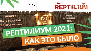 Рептилиум 2021: как меняется выставка и ее аудитория, новинки от Simple Zoo.