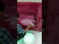 dry clean at home || Cleaning at home