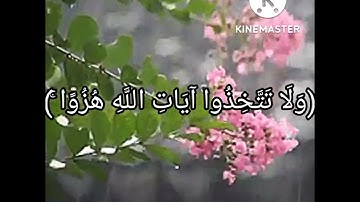 (ولا تتخذوا آيات الله هزوا)🌹قرآن كريم راحة نفسية💖💕